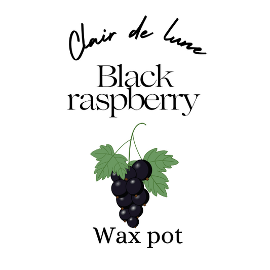 Black raspberry melt pot