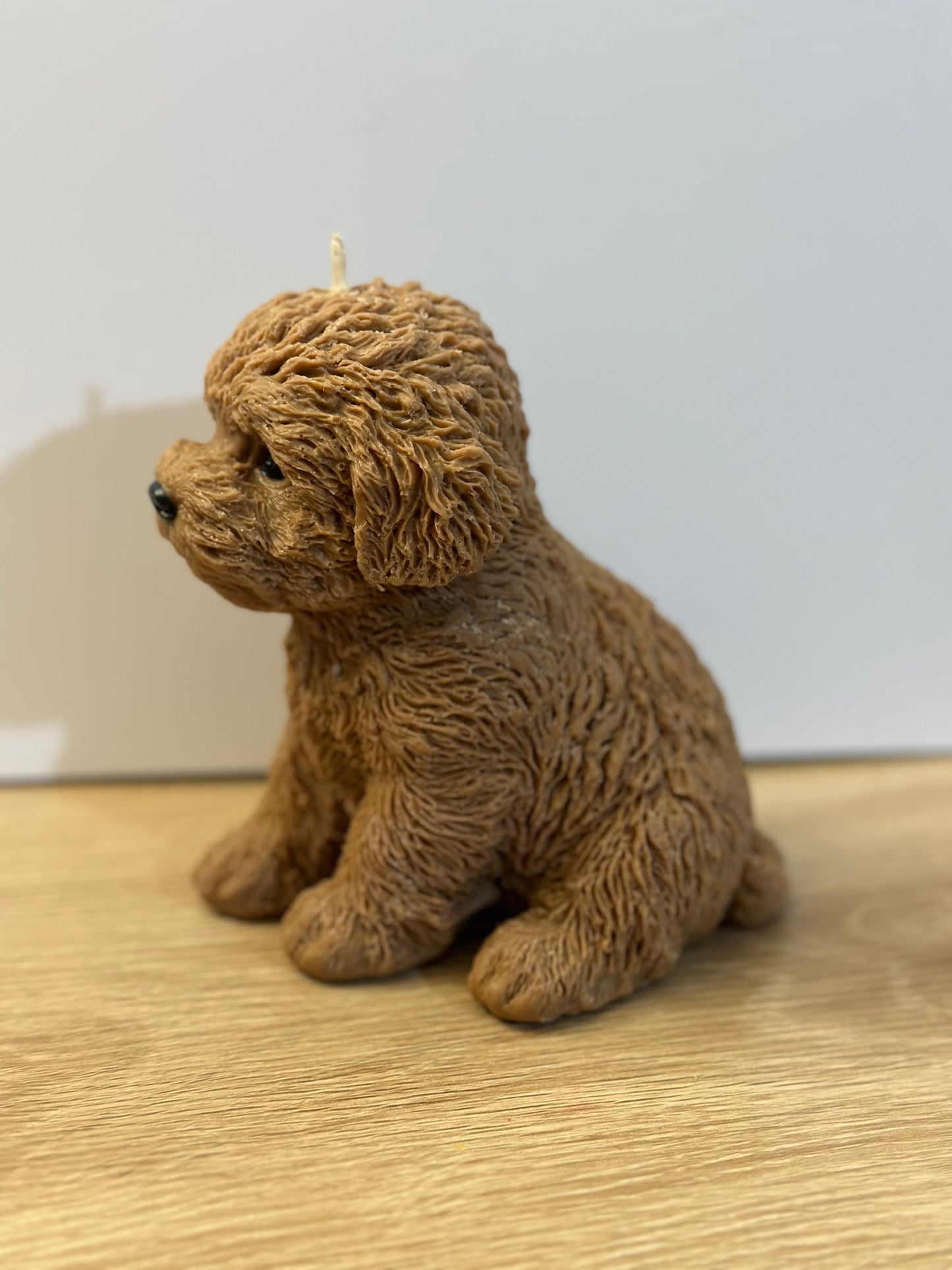 Brown puppy candle