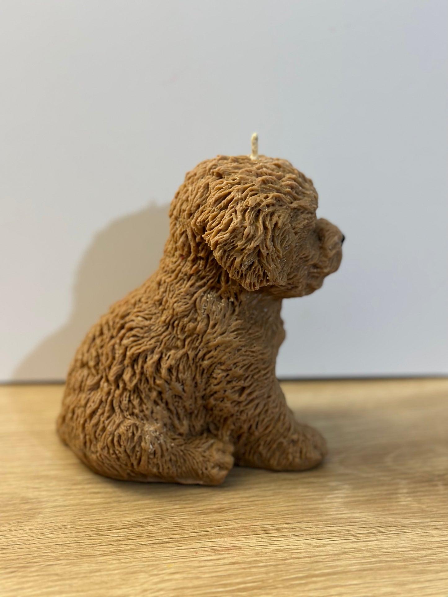Brown puppy candle