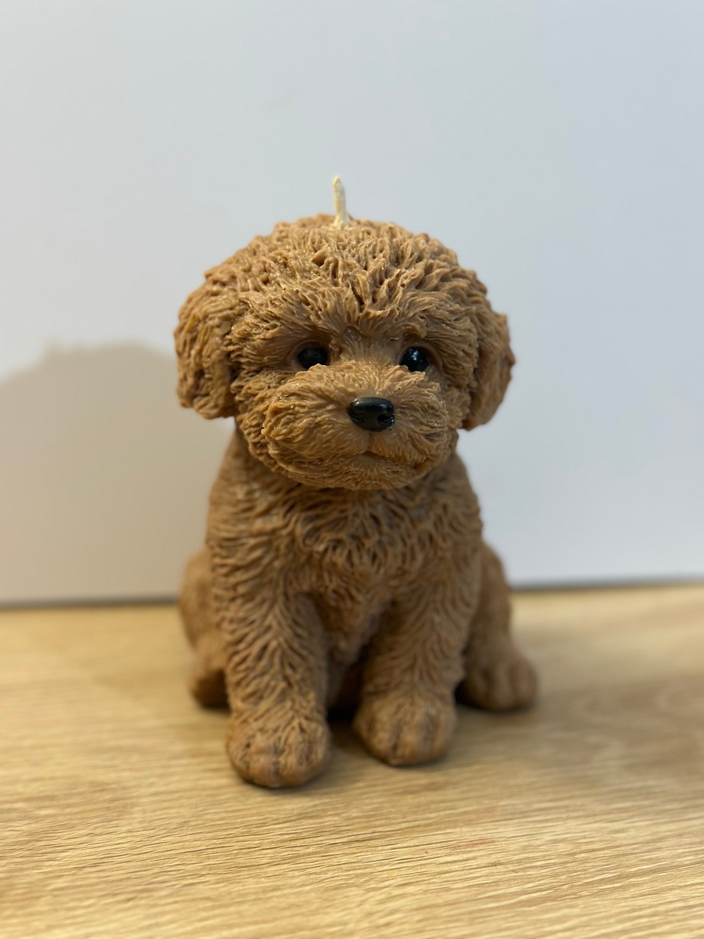 Brown puppy candle