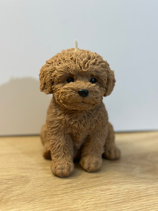 Brown puppy candle