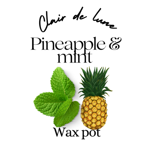 Pineapple & mint (Merry & bright dupe) melt pot