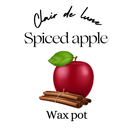 Spiced apple melt pot