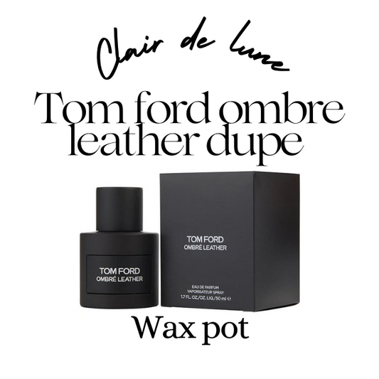 Tom ford ombre leather dupe melt pot