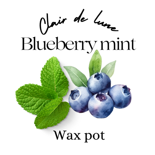 Blueberry mint melt pot