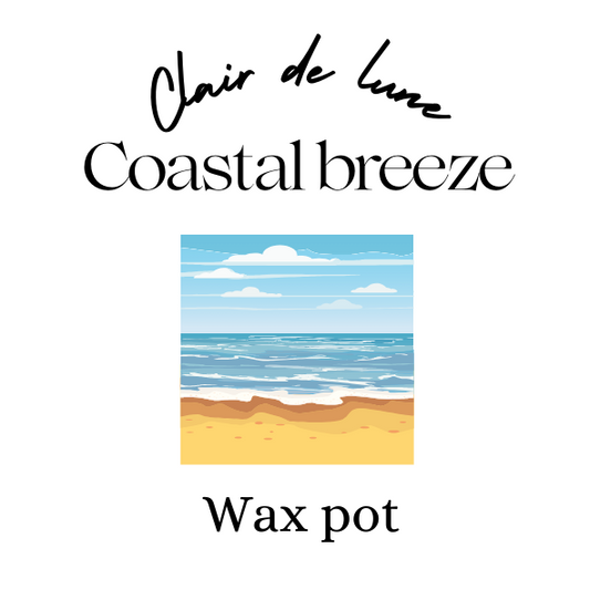 Coastal breeze (lost in Amalfi dupe) melt pot