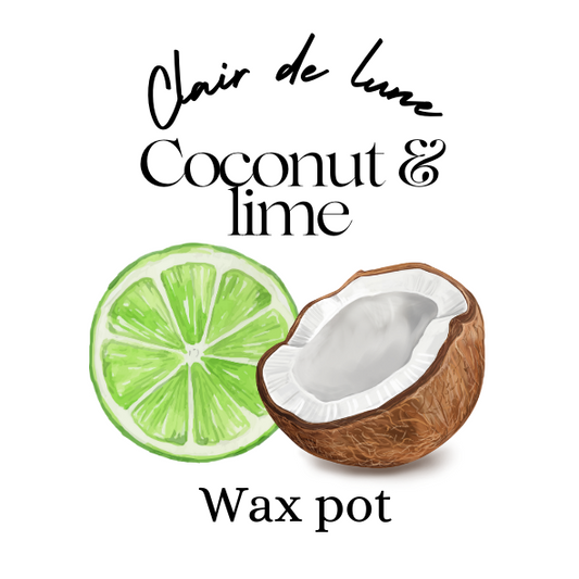 Coconut lime (Montego bay rhythm type) melt pot