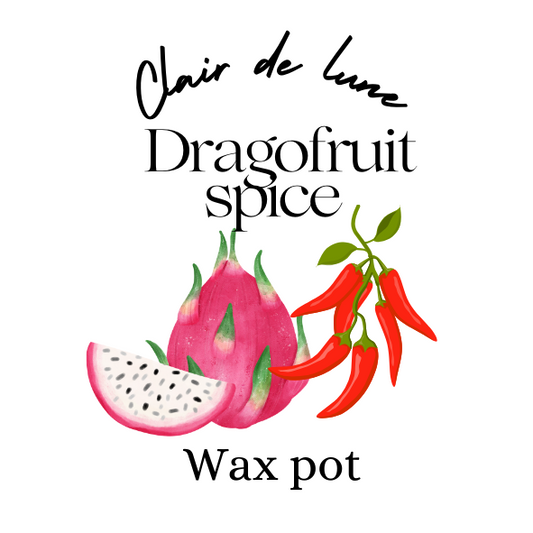 Dragonfruit spice melt pot