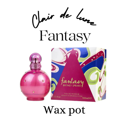 Fantasy perfume by Britney Spears dupe melt pot