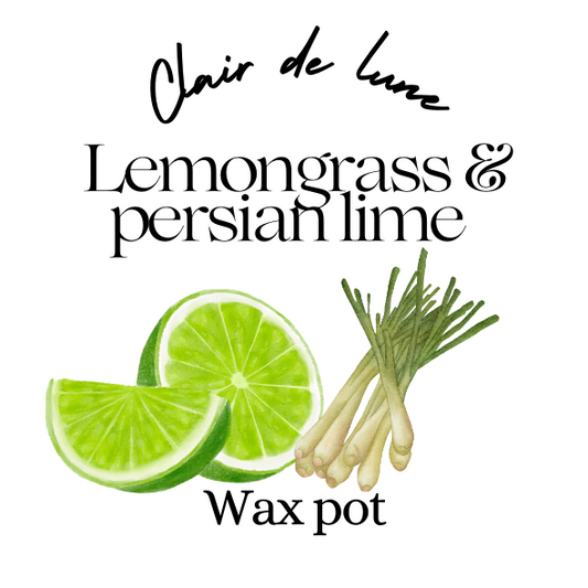 Lemongrass & Persian lime melt pot