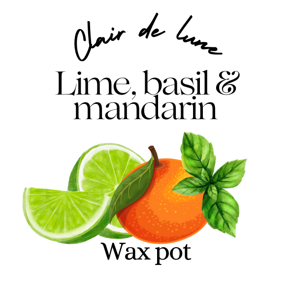 Lime, basil & mandarin melt pot