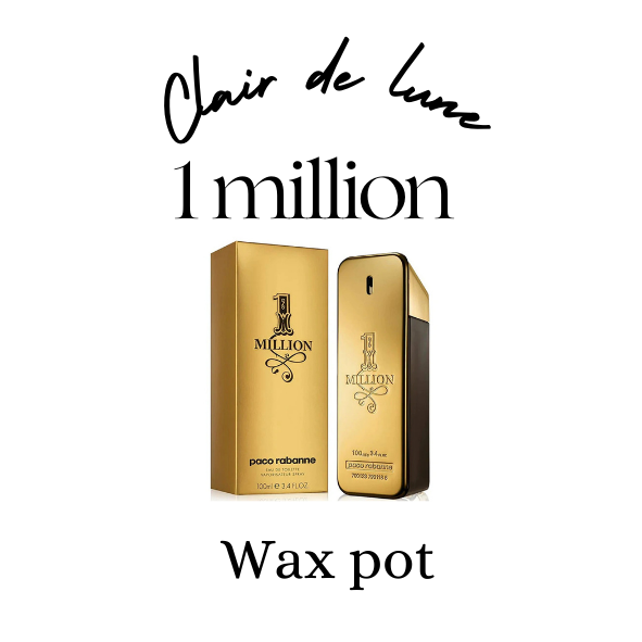 1 million by Paco Rabanne dupe melt pot