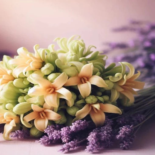 Lavender & ylang ylang - Air freshener