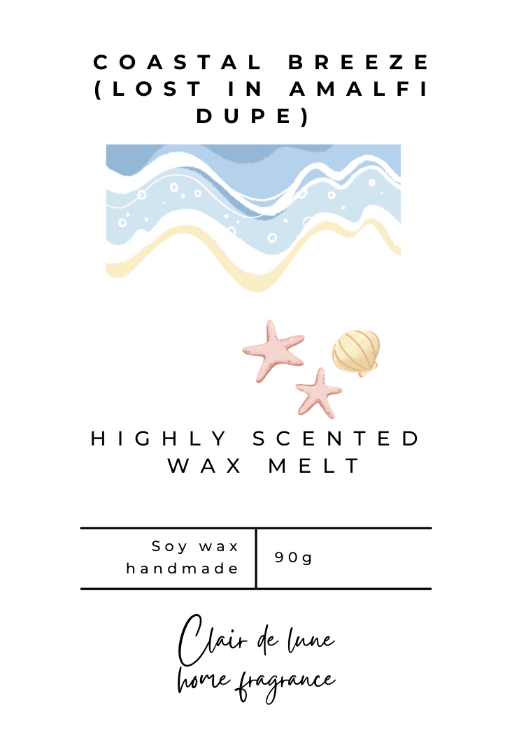 Coastal breeze (lost in Amalfi dupe) - Clam shell wax melt