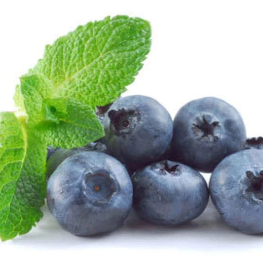Blueberry mint