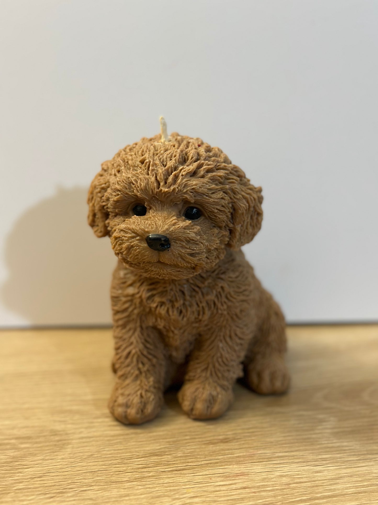 Brown puppy candle