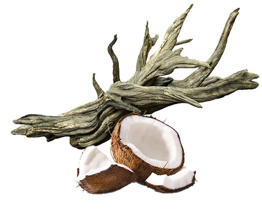White driftwood and coconut - Air freshener
